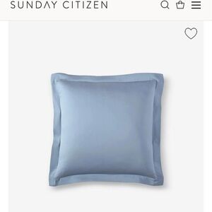 Sunday Citizen Euro Shams (2)